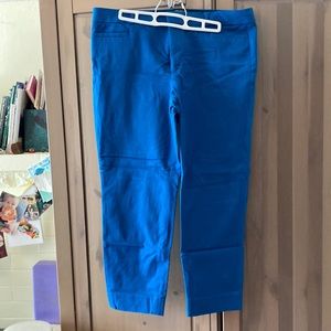 Banana Republic, Sloan fit, blue straight leg pants, size 12